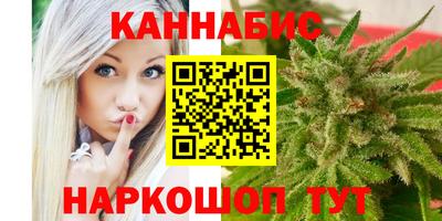 трава Кингисепп
