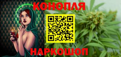 трава Кингисепп