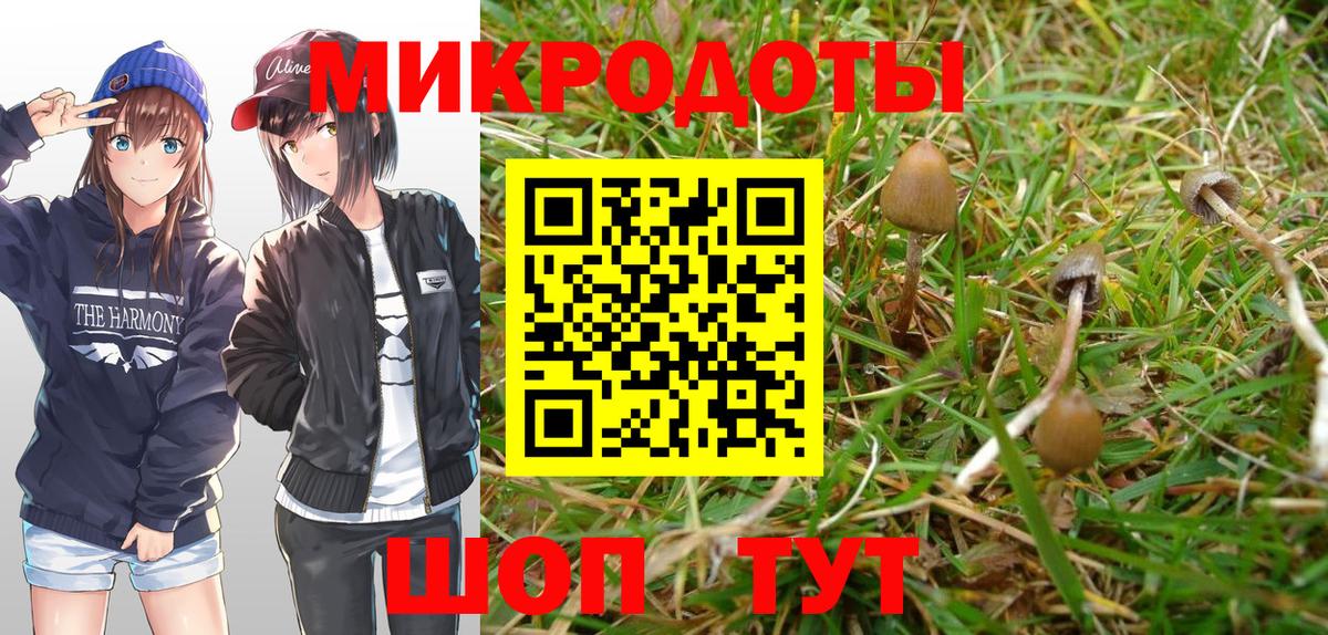 Псилоцибиновые грибы мицелий Барабинск
